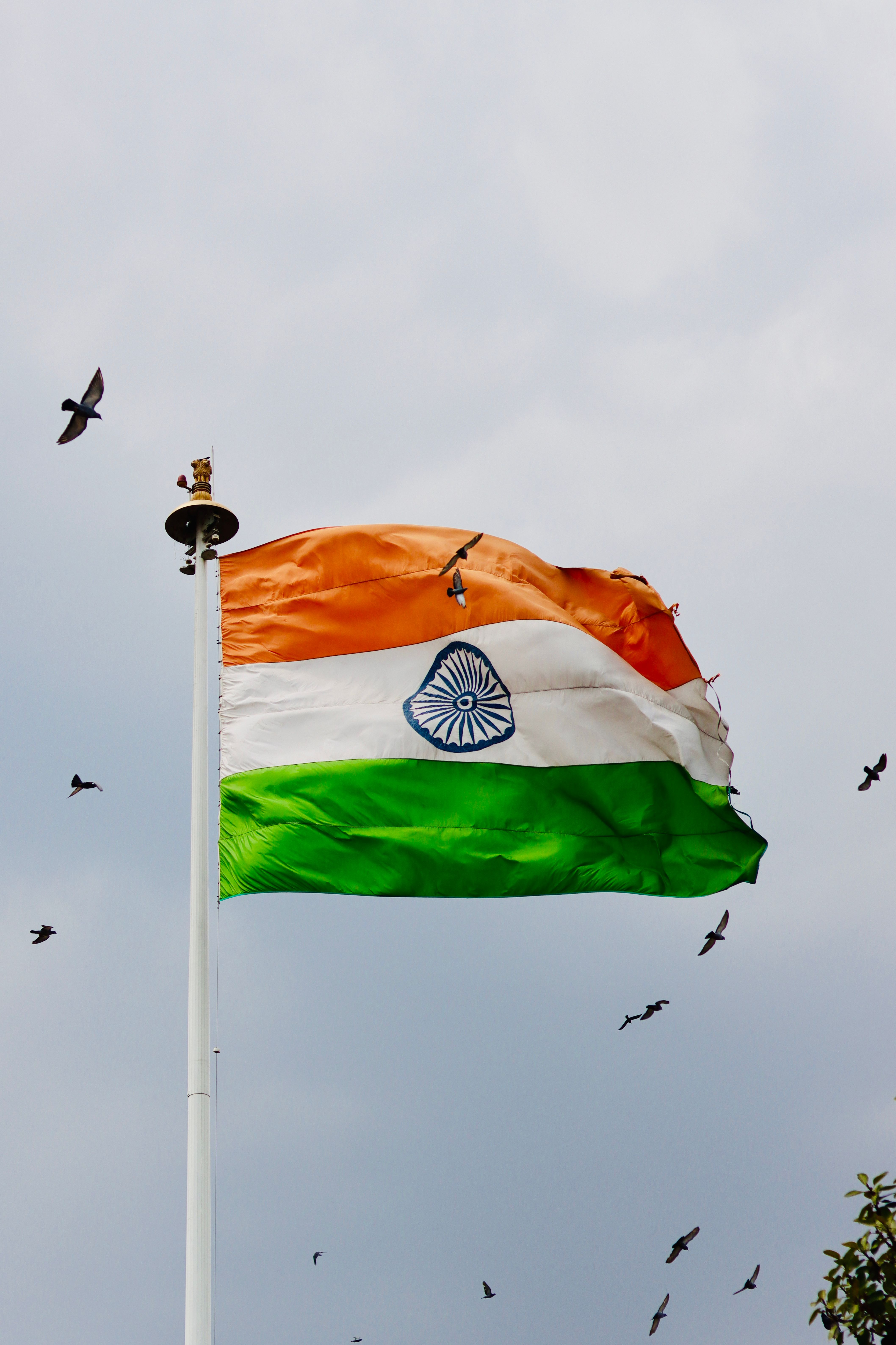 India